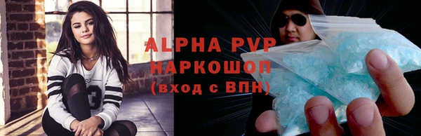 стаф Алзамай