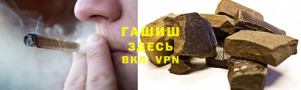 стаф Алзамай