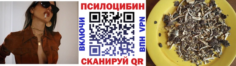 Псилоцибиновые грибы прущие грибы  дарк нет официальный сайт  mega ссылки  Заволжье  где найти наркотики 